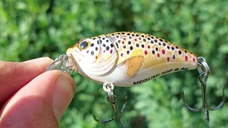 لور ماهیگیری (طعمه مصنوعی) اسپین نومورا موجود در فروشگاه لوازم ماهیگیری کولی