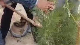 تعریف پیگیری بازگشایی جوی آب روبروی مجتمع دریای نور