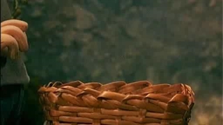 کارتون پت و مت -سری کامل- قسمت20 (لطفا از کانال حمایت کنید )