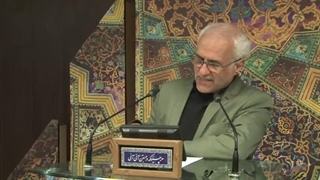 دو همسفر؛ پروانه و زنبور