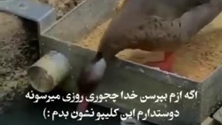 وقتی میگن خدا حواس به همه هست یعنی این شکلی