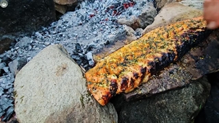 طرز پختن سالمون در طبیعت