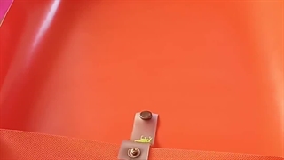 پوسیدگی ریشه گیاهان آپارتمانی رو چطور درمان کنم؟