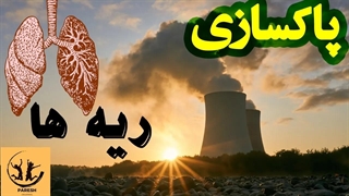 پاکسازی ریه ها با 9 خوراکی؟ چگونه؟