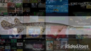 Band Geeks Jumpscare Mag Eric Bug Up To Faster The