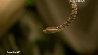 Deadly 60 قسمت 15