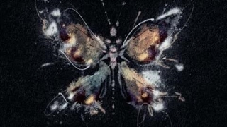 آهنگ Butterfly از Whee In + زیرنویس فارسی آنلاین
