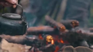 زنده است آنکه عشق می ورزد...