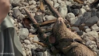 اپلود توسط کانال سارانی مویز