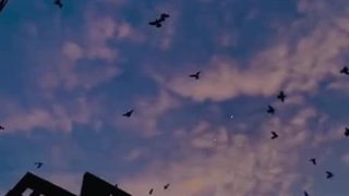 [هممون بازیگرای خوبی شدیم؛ از درون داغون، از بیرون خیلی اروم:)]