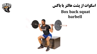 آموزش حرکت اسکوات از پشت هالتر با باکس | نحوه اجرای صحیح و نکات مهم