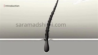 معرفی نانو اکسید روی