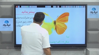 پکیج زیست جانوری کنکور مدرس مجید نیک راد