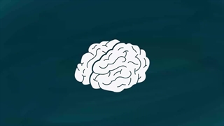 چرا مطالعه مهم است؟