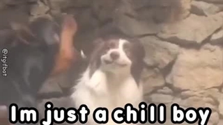 من بعد گرفتن  پول قرار داد(دوروز بعدش هیچی نمیمونه)