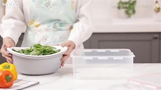 ظروف فریزری لیمون