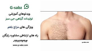 تحلیل مزاج بلغم از دیدگاه طب سنتی [سبک زندگی و ویژگی ها]