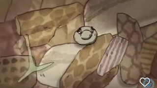 انیمیشن زندگی روزمره یک سنگ