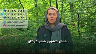 طراحی سایت در هشتگرد