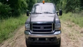 چوب بران باتلاق 10 اسفند 1402