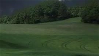 تولدت مبارک ویکیییییییییییی