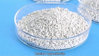 معرفی کلر پودری